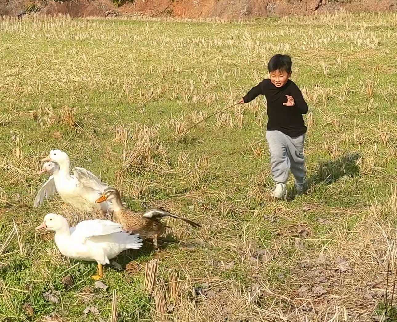 微信图片_20260228090708_2408_8.jpg